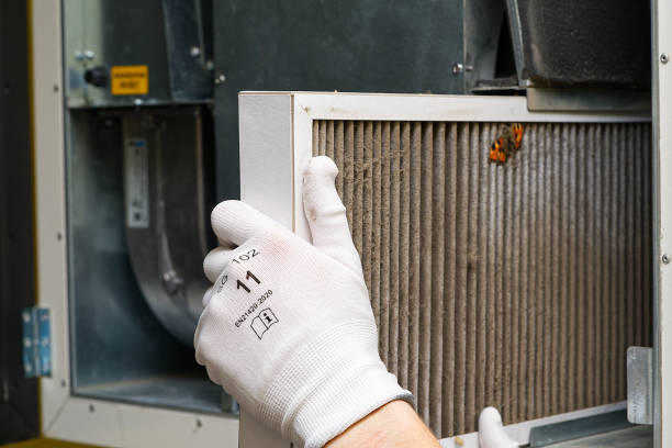 Best Affordable Duct Cleaning Services  in West Liberty, WV